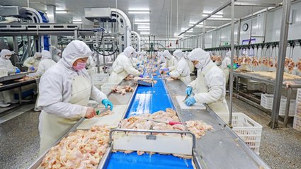 Chiński drób zalewa Europę. Polski rynek może tego nie udźwignąć