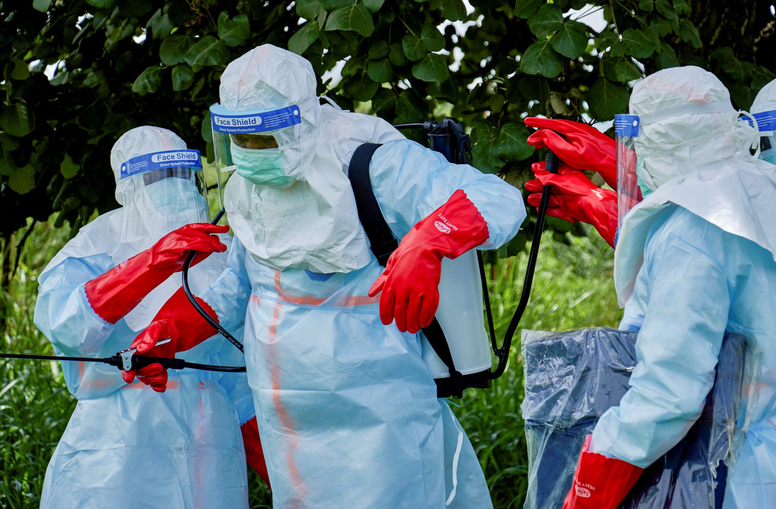 Ebola Bundibugyo – nowy wariant wirusa zidentyfikowany w Afryce
