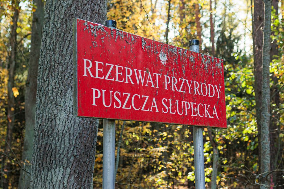 Rezerwat przyrody w województwie mazowieckim