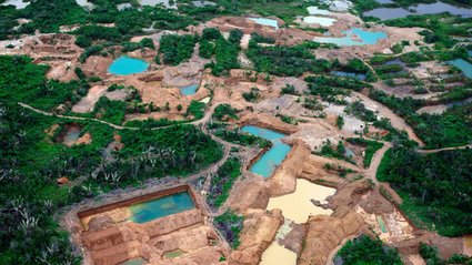 Miliardy dolarów z nielegalnego złota. Amazonia to teraz eldorado dla przestępców
