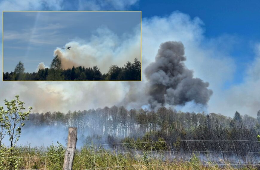 Spłonęły obszary leśne w okolicach Częstochowy. W akcji pomagają samoloty pożarnicze.