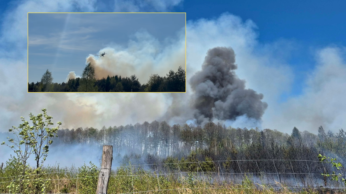 Spłonęły obszary leśne w okolicach Częstochowy. W akcji pomagają samoloty pożarnicze.