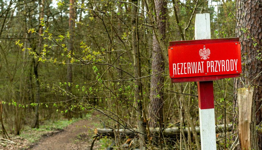 Rezerwat przyrody