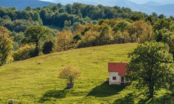 Patowa sytuacja z hipoteką odwróconą. Gwałtowny spadek przeciętnej renty mieszkaniowej.