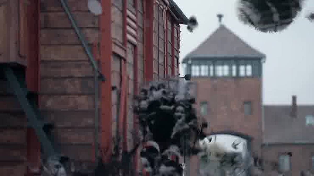 "Więźniowie pamięci" - historia najmłodszych jeńców obozu Auschwitz - INFBusiness